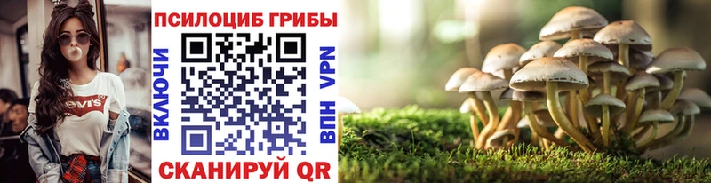 Псилоцибиновые грибы мицелий  где найти   Щигры 